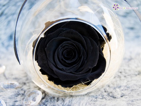 Glob sticla cu Trandafir Criogenat